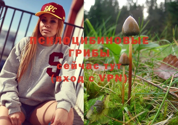 МДПВ Володарск